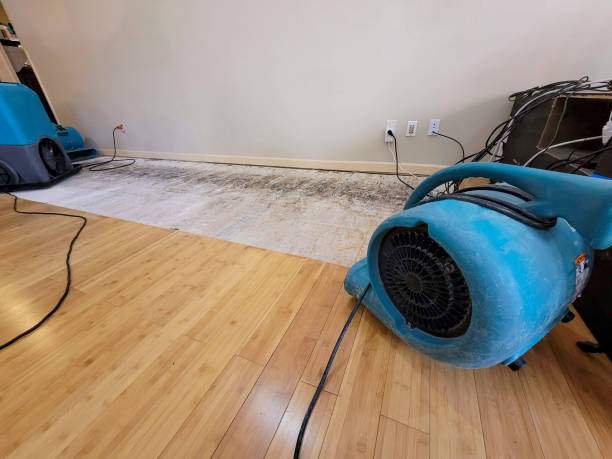 Professional Basement Flood Cleanup technician working in Martindale, TX